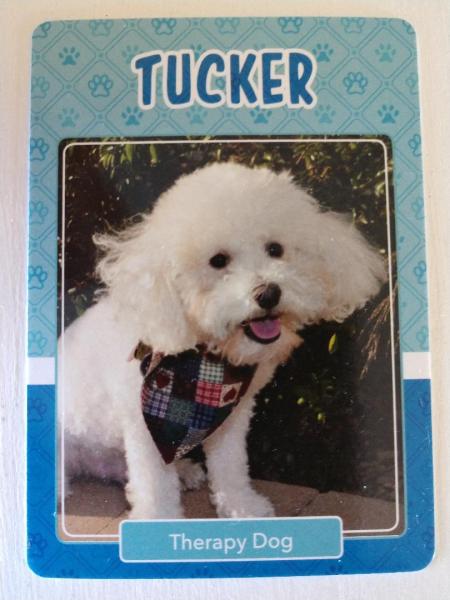 Tucker card front